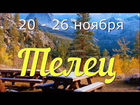 ТЕЛЕЦ ♉️с 20 по 26 ноября.