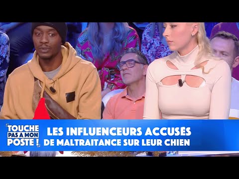 Rop et Rocka les influenceurs accusés de maltraitance sur leur chien sortent du silence dans TPMP