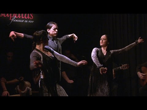 CASA PATAS, FLAMENCO EN VIVO #265 - PROFESORES FUNDACION CASA PATAS