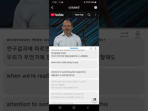 cctube3 - dual subtitles.