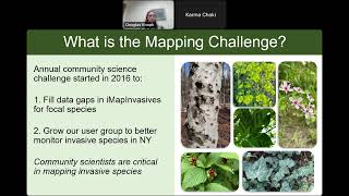 iMapInvasives 11th Annual Mapping Challenge