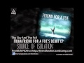 Friend For A Foe - The Sky And The Fall 