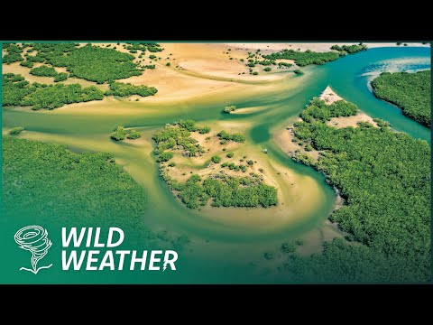 My Time Living With The Baka Tribe of West Africa | Man Hunt