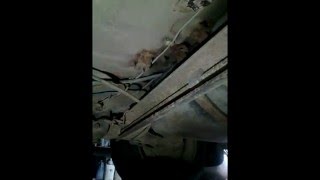 Глушитель на vw passat b3 из глушителей рено