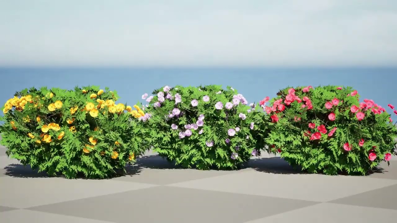 Cespuglio di mela cotogna fiorita Cameo Modello 3D