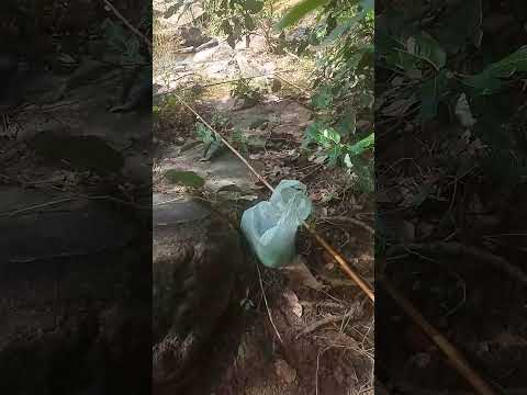 PESCARIA RIO CAMARAGIBE IELMO MARINHO RN