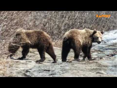 Народный патруль 02.06.2026