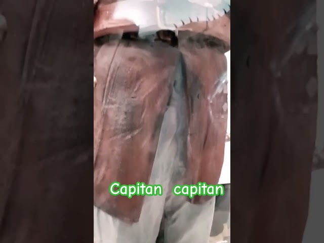 Vídeo relacionado con Capitán Pirata Esqueleto Crucero por el Caribe Halloween Sudadera con Capucha