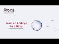 Human Embryo Development From Fertilization To Childbirth Gunjan IVF World Gunjanivfworld