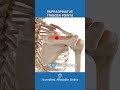 Are Supraspinatus Trigger Points Causing Your Arm Pain