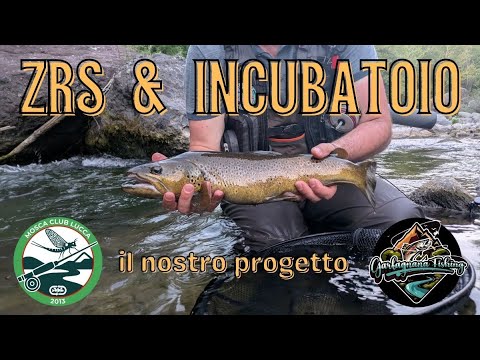Video 2