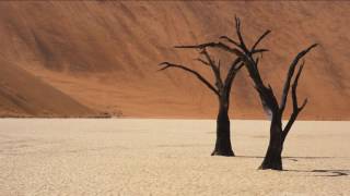 Lenny Kravitz - All my Life