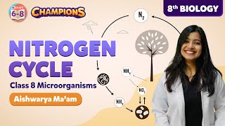 Nitrogen Cycle Class 8 Science - Microorganisms Friend & Foe Concepts | BYJU'S - Class 8