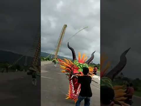 the grandest and amazing dragon kite