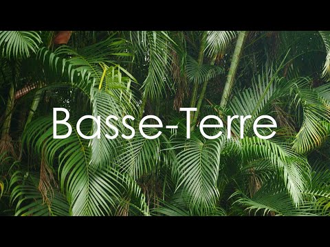 Basse-Terres, Guadeloupe - 4K UHD - Virtual Trip