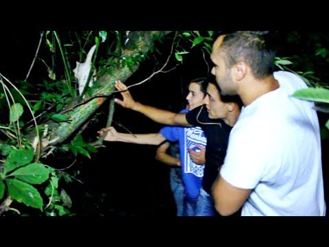 PARODIE COMOARA LUI HARRY POTTER MORI DE RAS :))))) PRIETENII MEI NEBUNI