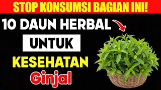 Download lagu Bukan Obat Mahal! Cuma Pakai Daun Ini Kreatinin Turun & Ginjal Bersih (Nomor 10 Paling Ampuh!) mp3