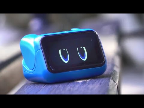 World Tiniest Robot That Feels Like a Real Friend – Meet Umi!
