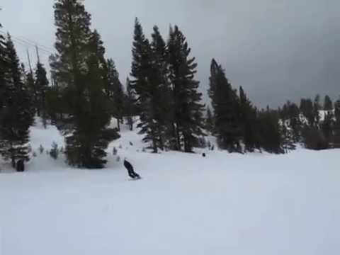 mjj can ollie off flat:: heavenly