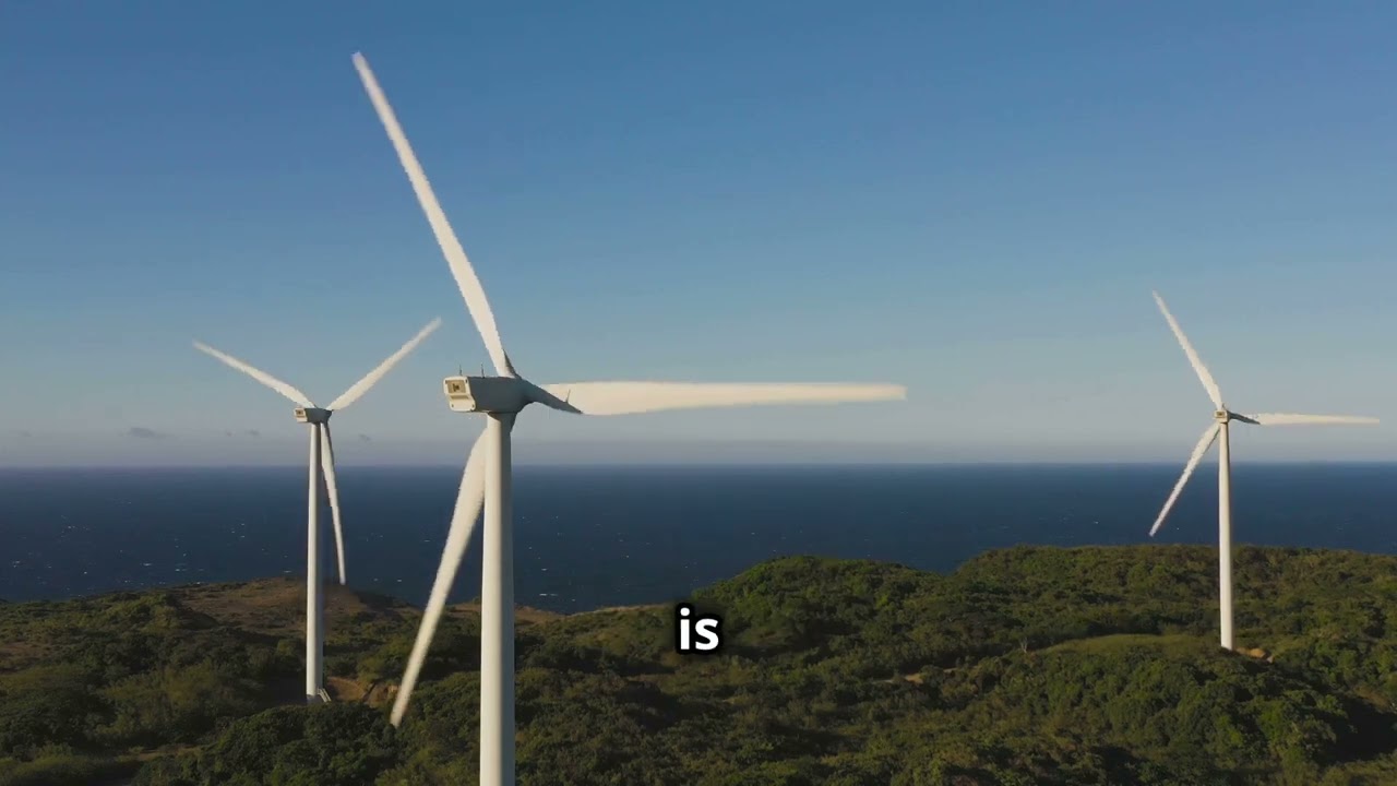 Business Opportunities in Uruguay