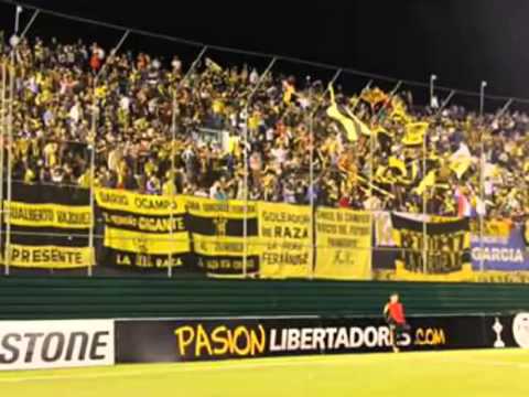 "Emilio Garcia - Club Guarani" Barra: La Raza Aurinegra &bull; Club: Guaraní de Asunción