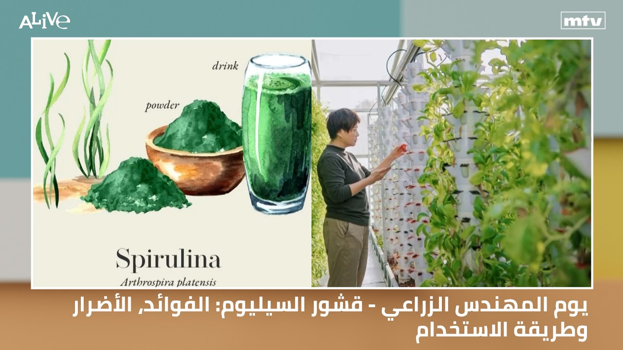 يوم المهندس الزراعي - قشور السيليوم: الفوائد، الأضرار وطريقة الاستخدام