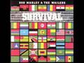 Bob Marley The Wailers Survival