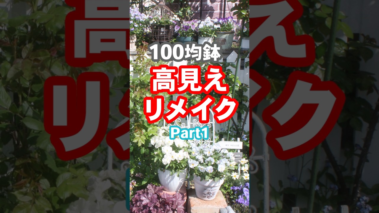 シンプルな100均鉢をおしゃれな鉢に簡単リメイク #shorts  #diy #リメイク鉢