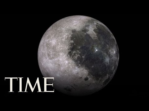 China Grows The First Seed On The Moon | TIME