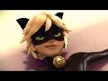 Cat Noir Once Said
