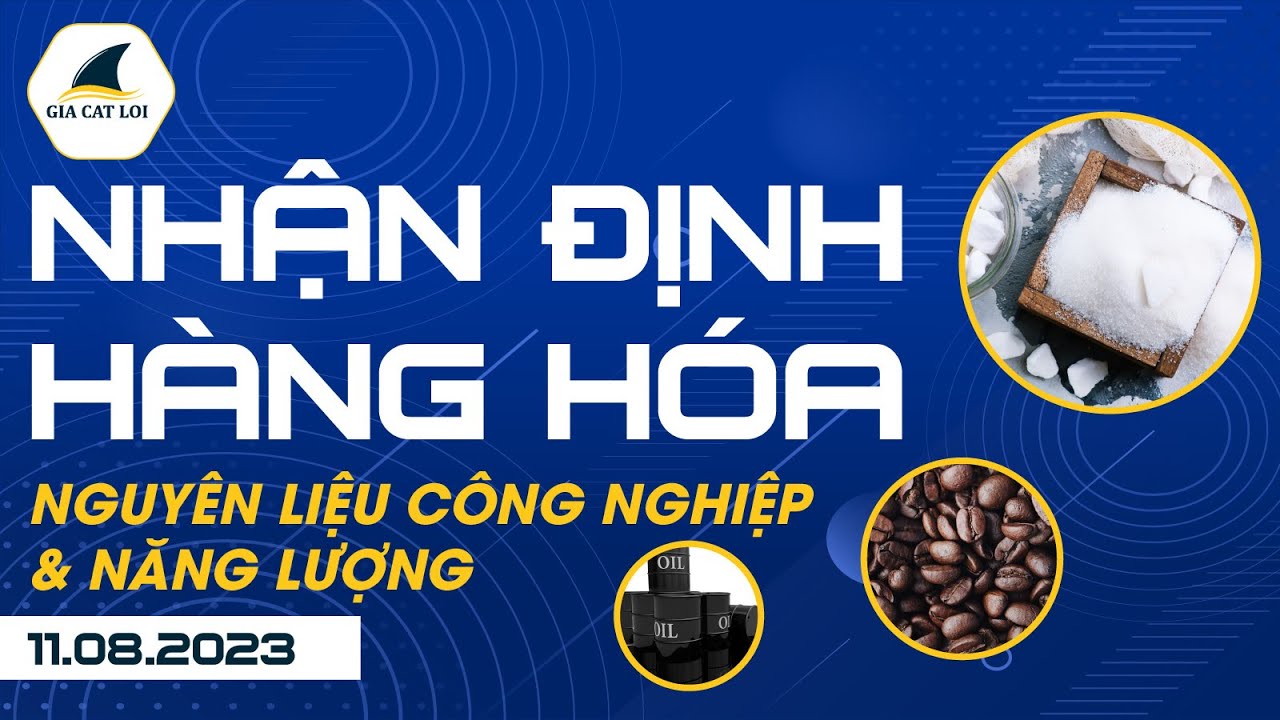 Nhận Định Hàng Hoá Năng Lượng & Nguyên Liệu Công Nghiệp 11/08/2023