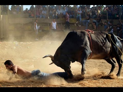 download lagu mp3 mp4 The Bull Rage, download lagu The Bull Rage gratis, unduh video klip The Bull Rage