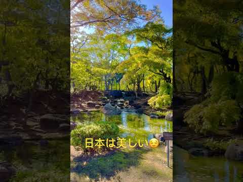 秋のマルチ：どのタイプを選択し、いつどのように適用するか？  庭園