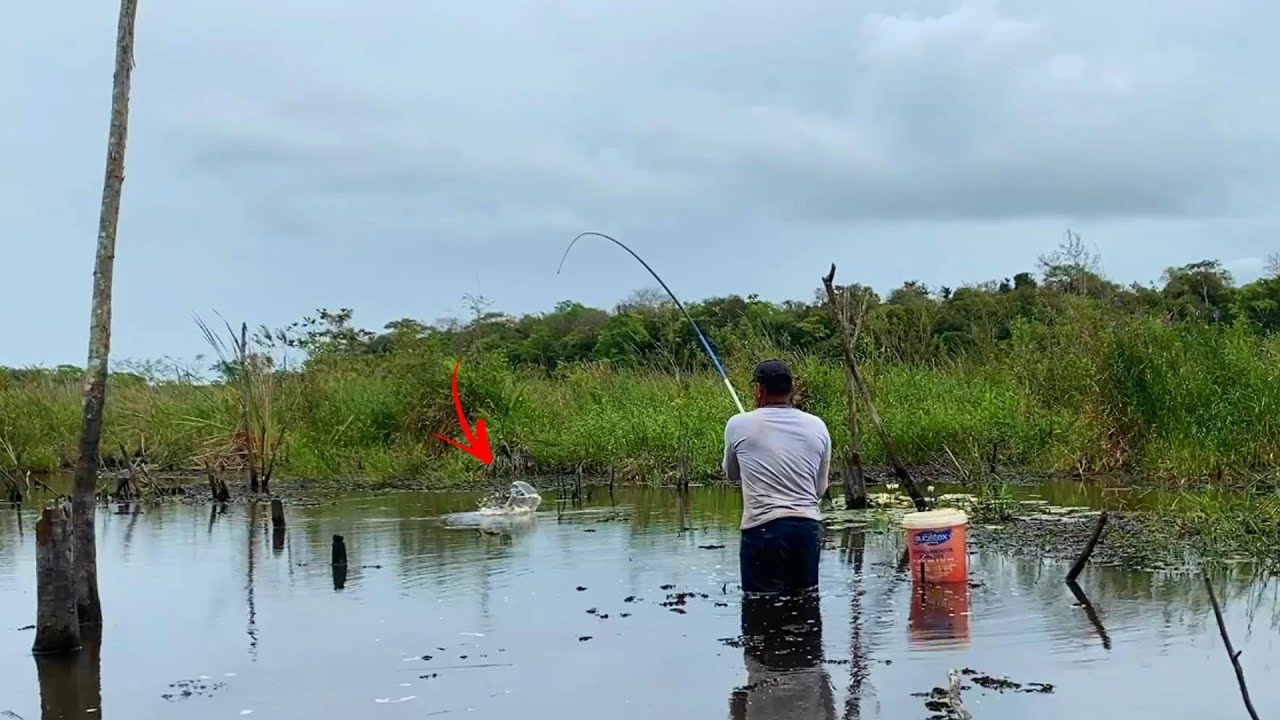 ENTREI EM MATA DENTRO PARA PESCAR EM LAGOA SELVAGEM COM JACARÉ,SÓ PEIXE BRUTO.