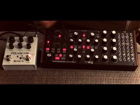 Moog Subharmonicon with Meris Polymoon