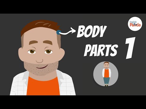 初學者必看！身體部位的英文單字教學！ (Body vocabulary for beginners)