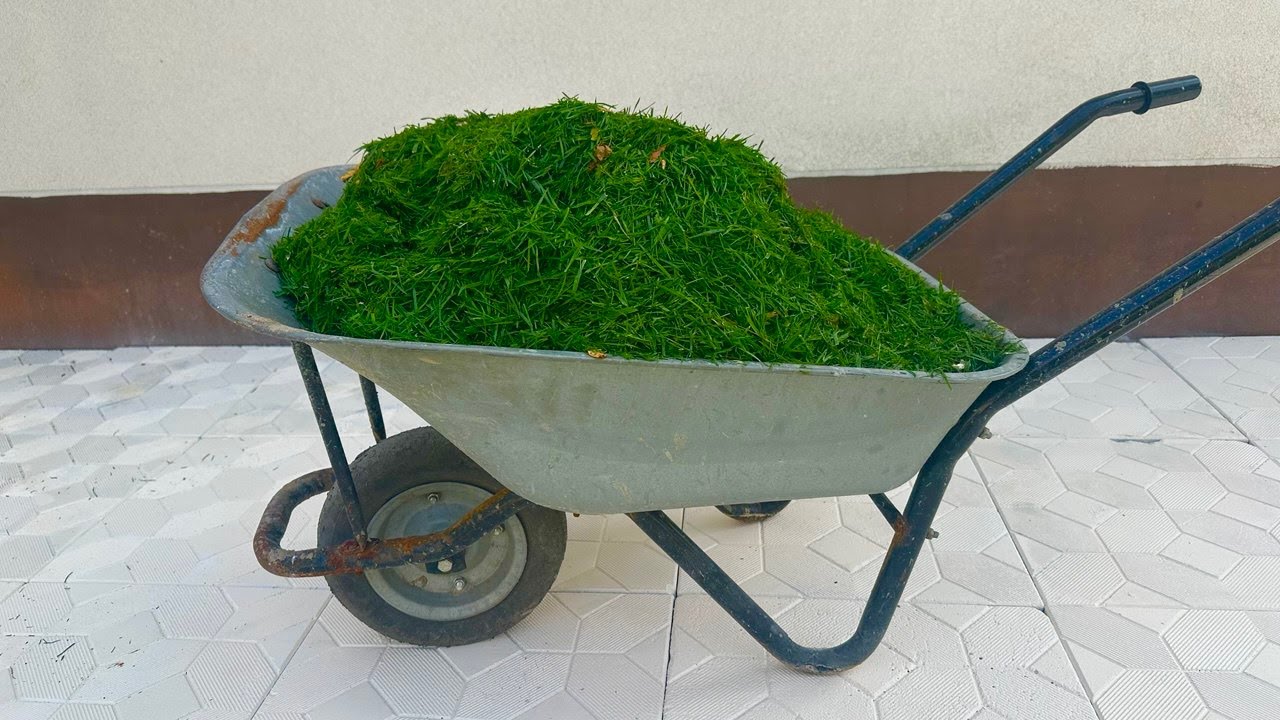 Mix Sugar with Grass and You’ll Never Throw It Away Again