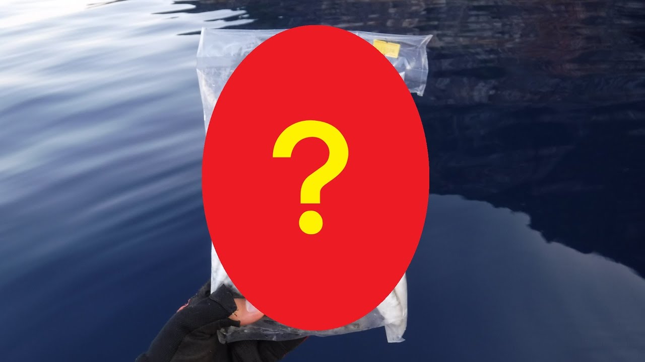 このエサ試したら大物釣れるしエサ取りに強いしコスパ最高だった！！