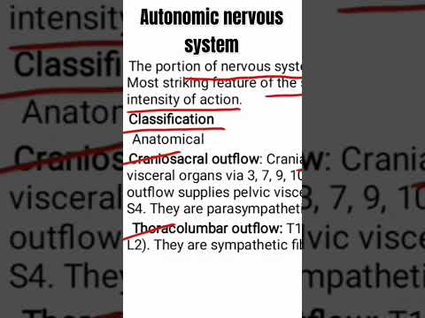 Autonomic nervous system
