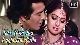 Download lagu Tere Bina Jag Lagta Hai Suna | Lata Mangeshkar Hit Songs | Sridevi, Vinod Khanna Songs | Farishtay mp3 Download lagu Tere Bina Jag Lagta Hai Suna | Lata Mangeshkar Hit Songs | Sridevi, Vinod Khanna Songs | Farishtay mp3