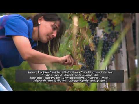 Royal Khvanchkara Vineyards / "როიალ ხვანჭკარას" ვენახები