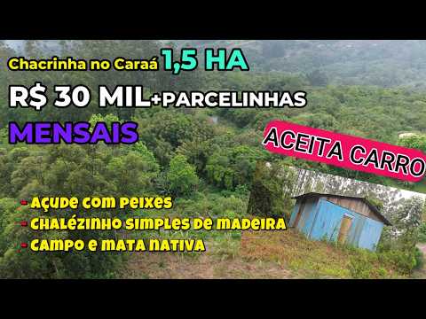 Vídeo