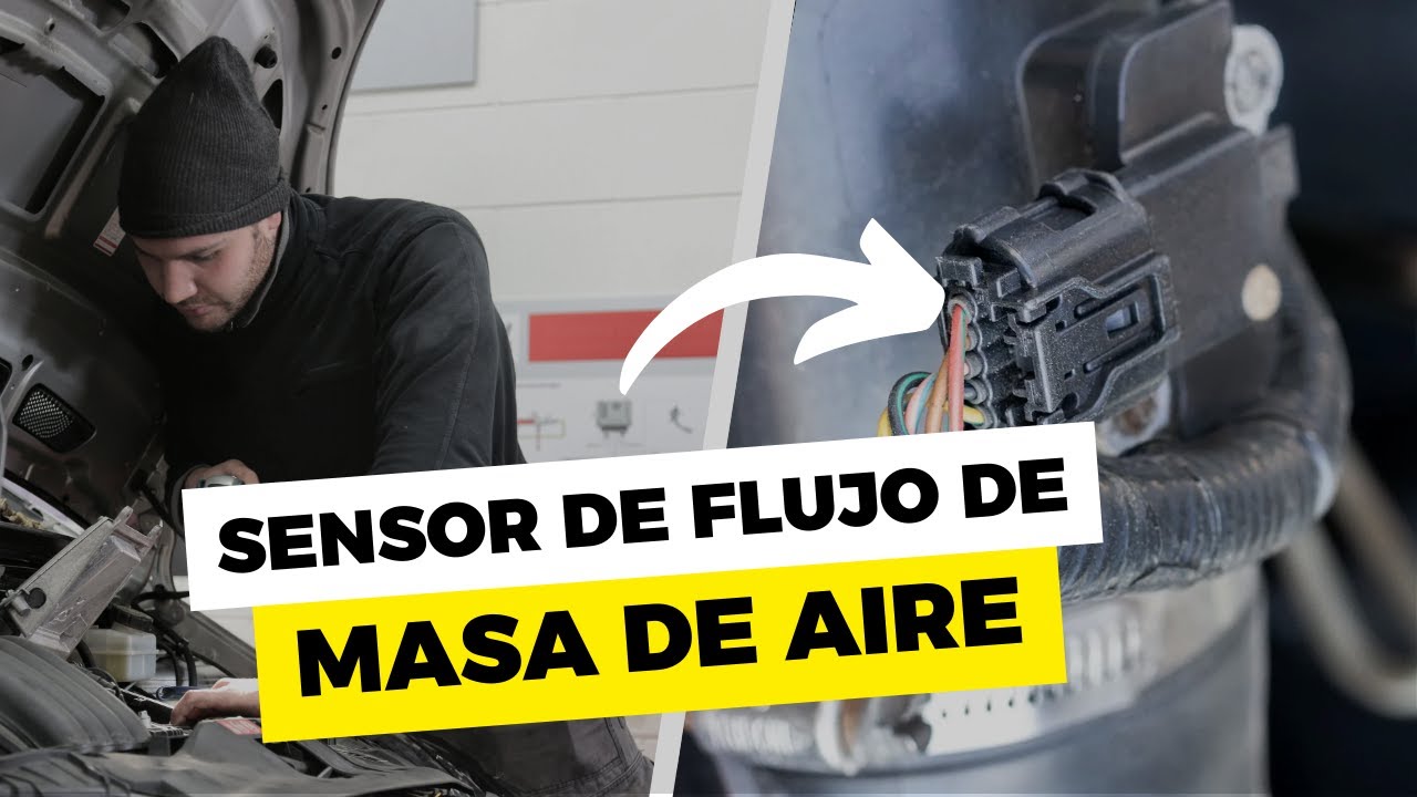 Miniatura del video