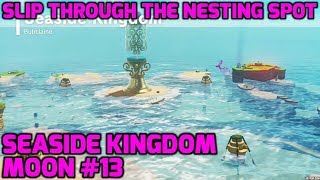 Super Mario Odyssey - Seaside Kingdom Moon #13 - Slip Through the Nesting Spot