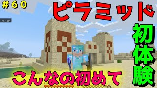 【マイクラ/Switch/統合版】サバイバル生活＃６０　初ピラミッド！ピラミッドの攻略方法教えます！
