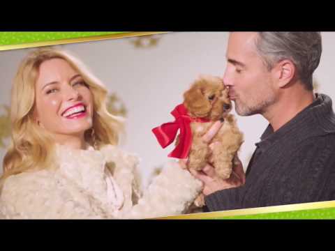 HSN | Deck the Halls featuring Gifts for Kids 11.02.2016 - 07 AM