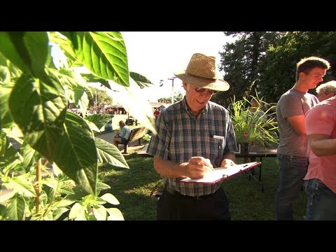 In the Weeds (Weed Identification Contest)