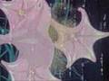 Robotech The Flower Of Life