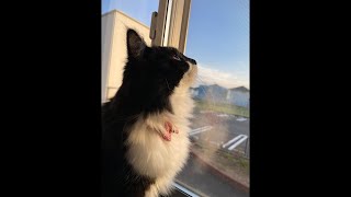 お久しぶり