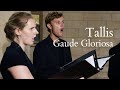 Thomas Tallis - Gaude Gloriosa | The Marian Consort